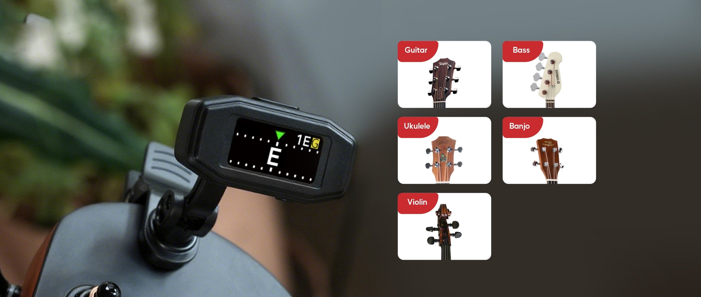 Designed for Multi-Instrument Musicians — Tune Smarter with Aroma